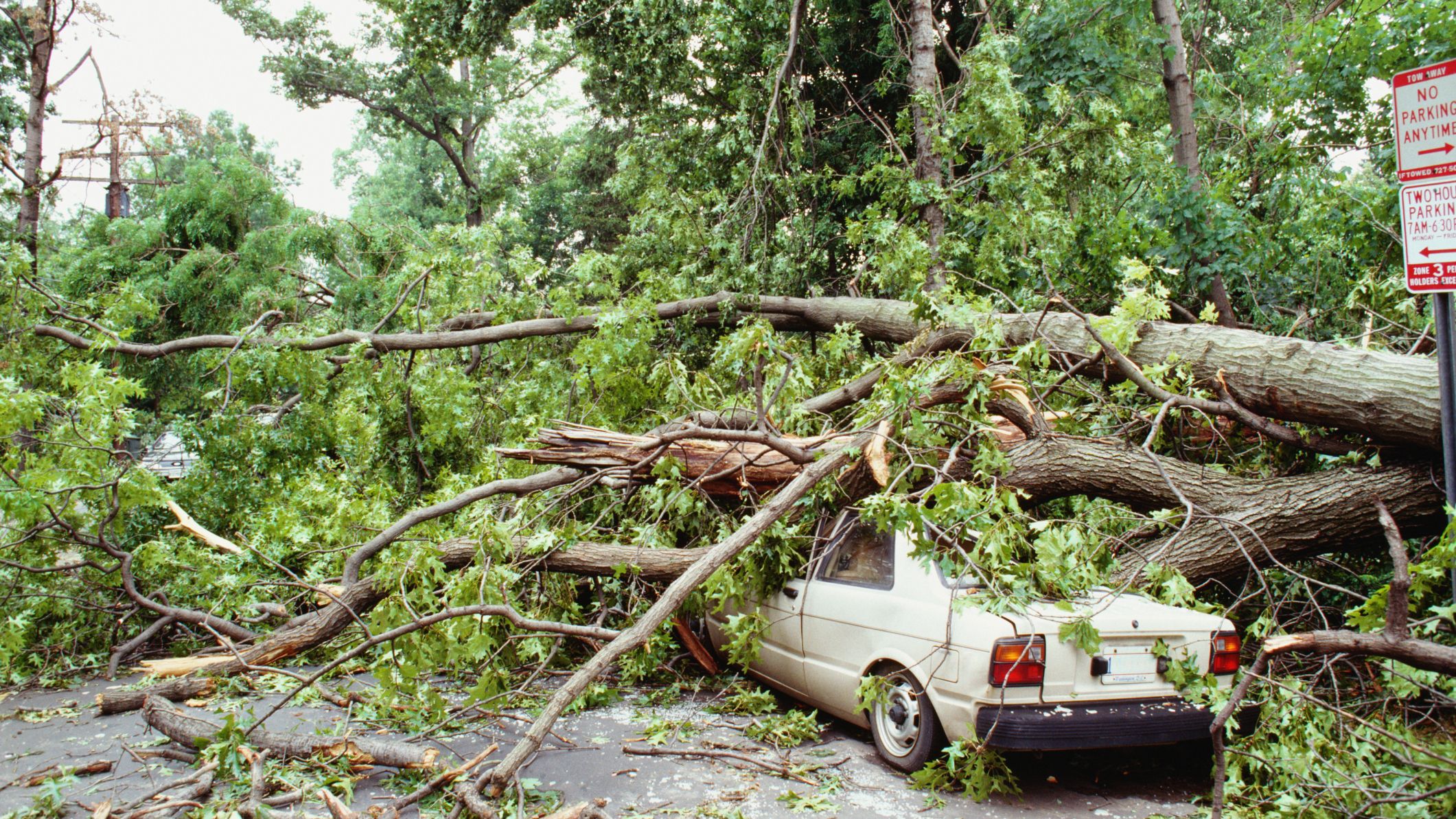 Does Vehicle Insurance Cover Storm Harm?